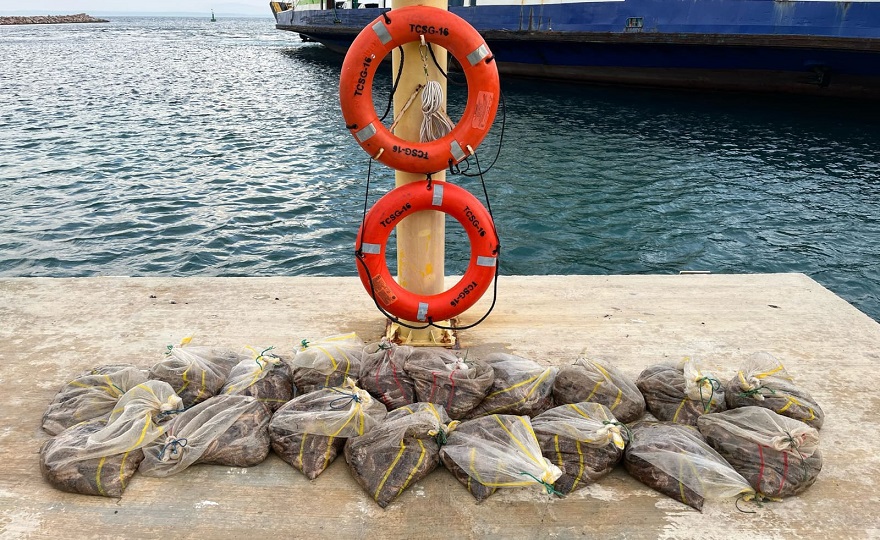 bozcaadada-kacak-avlanan-19-cuval-deniz-patlicani-denize-birakildi-1.jpg