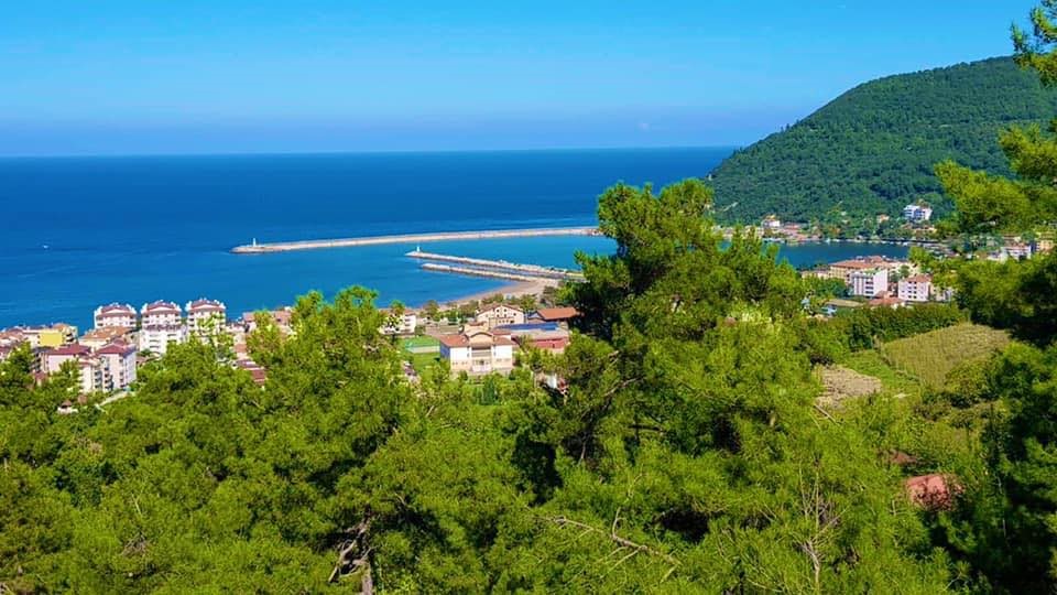 Cide