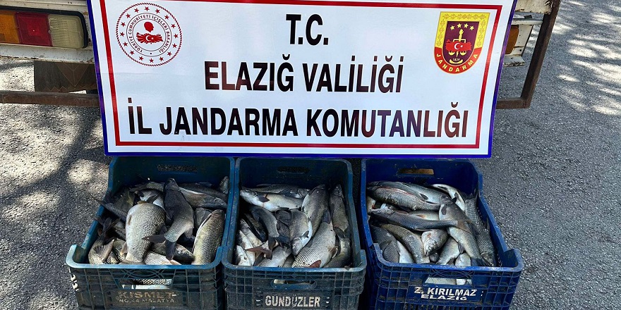 elazigda-kacak-avlanan-250-kilo-balik-ele-gecirildi-1.jpg