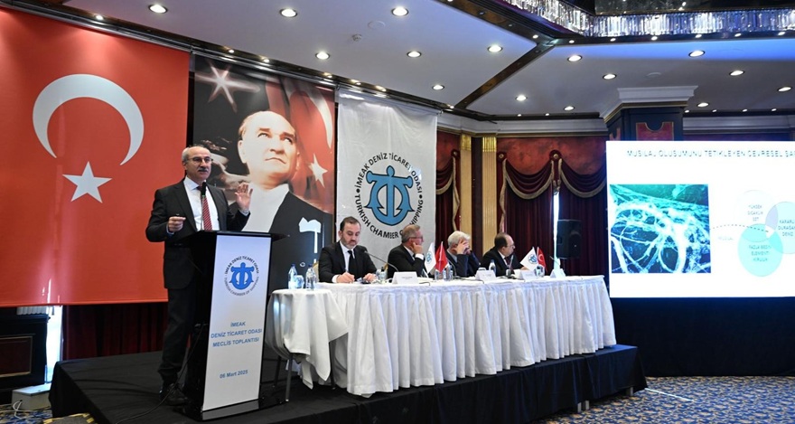 Onyedi Eylül Üniversitesi Öğretim Üyesi Prof. Dr. Mustafa Sarı