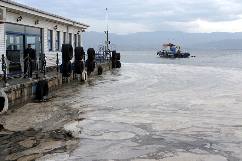 kocaeli-musilaj-2007.jpg