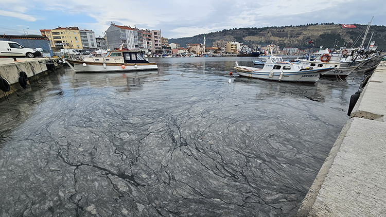marmara-denizindeki-musilajin-su-sicakliginin-dusmesiyle-azalacagi-ongoruluyor-2.jpg