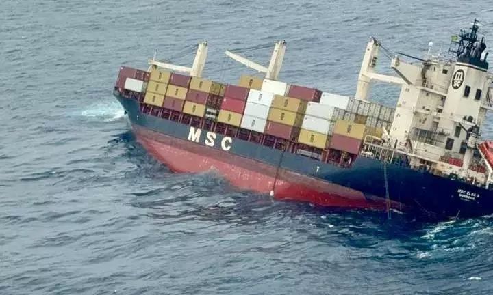 msc-elsa-3-batti-2.jpg