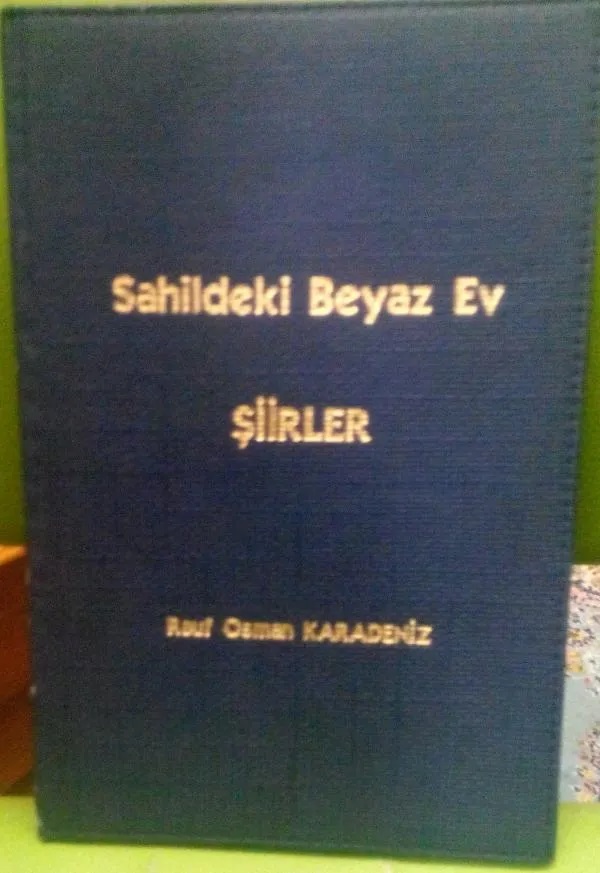 sahildeki-beyaz-ev.jpg