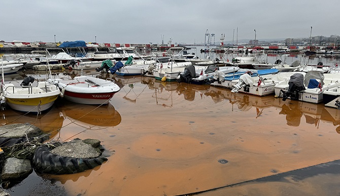 tekirdag-da-planktonlar-denizin-rengini-turuncuya-cevirdi-2.jpg