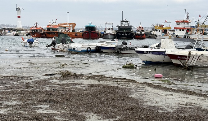 tekirdagda-marmaraereglisi-sahilinde-deniz-suyu-cekildi-1.jpg
